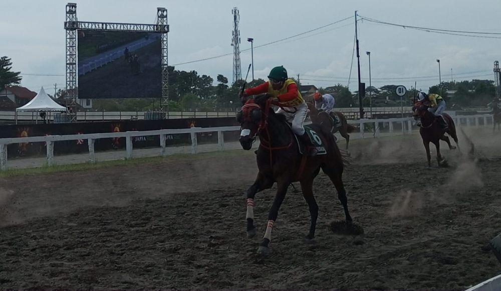 Kuda Pemenang Pacuan di Bantul Ditawar Rp1,5 Miliar