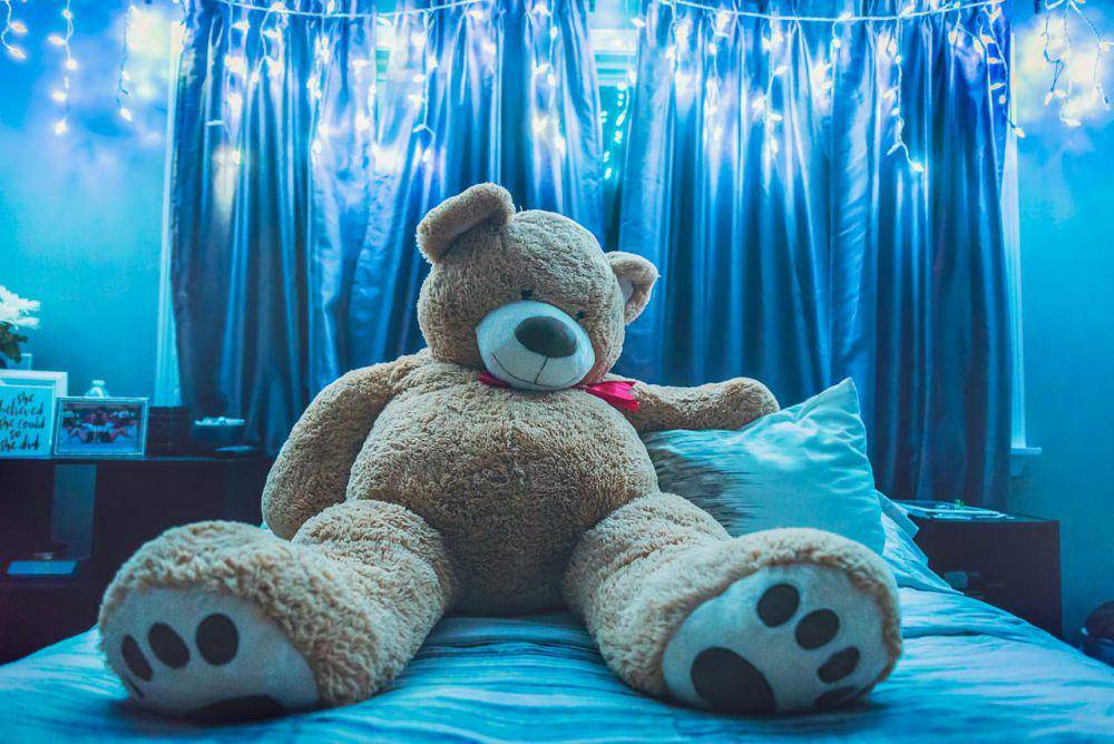 ilustrasi boneka besar (pexels.com/Dan Parlante)