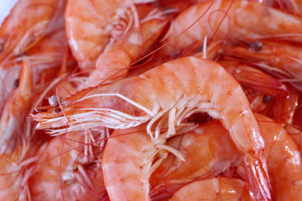 Cara Mengolah Seluruh Bagian Udang, Gak Ada yang Terbuang!
