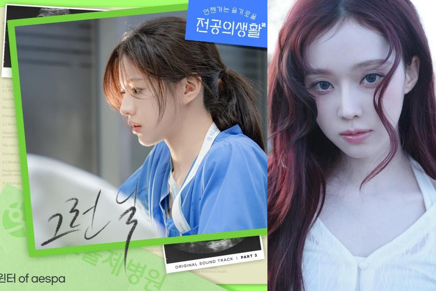 Lirik Lagu On Such A Day dari Winter aespa, OST Resident Playbook