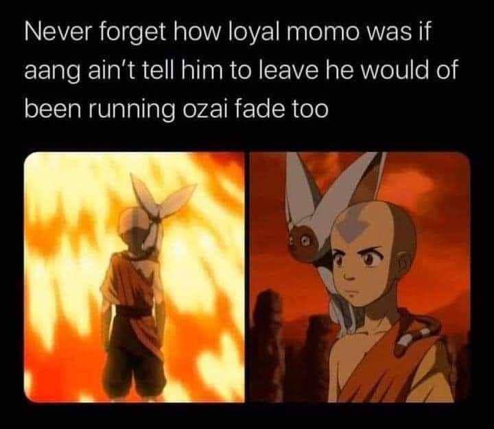 meme Momo Avatar: The Last Airbender (reddit.com/user/RileyOctopus)