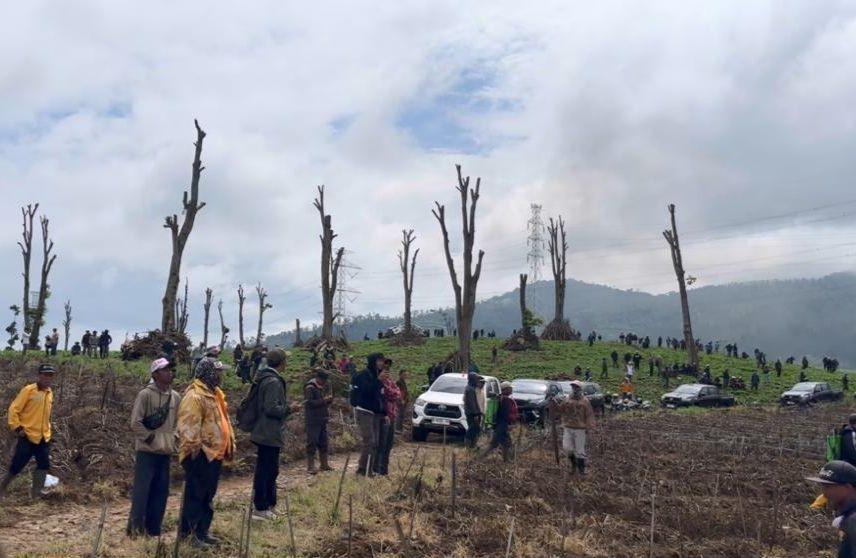 Lahan Kebun Teh di Pangalengan yang Rusak akan Dihijaukan Lagi