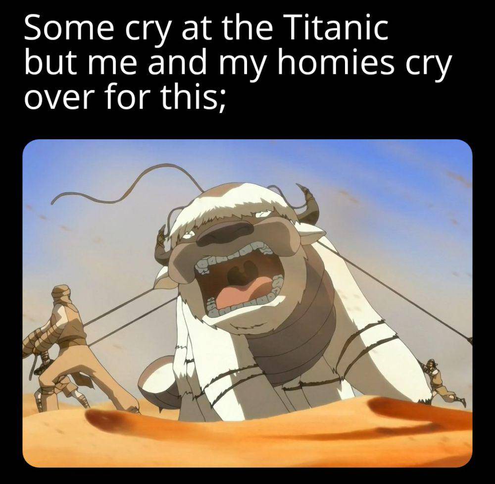 meme Appa Avatar: The Last Airbender (reddit.com/user/Akerho)