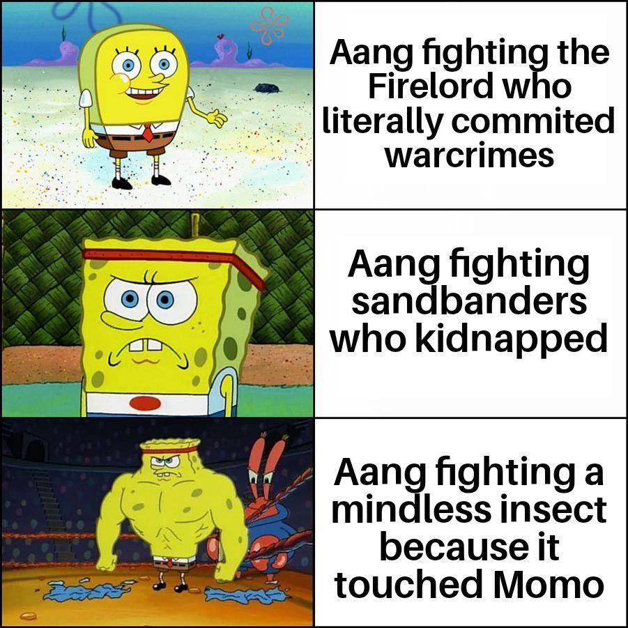 meme Momo Avatar: The Last Airbender (reddit.com/user/Electrical_Bit3165)