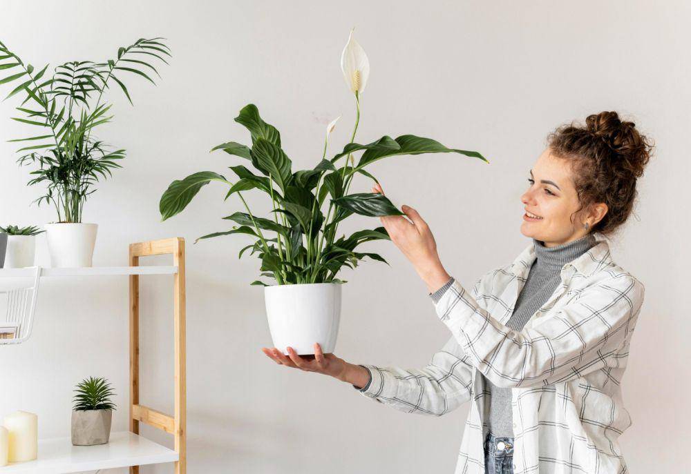 Ilustrasi wanita membawa tanaman spathiphyllum (freepik.com/freepik)