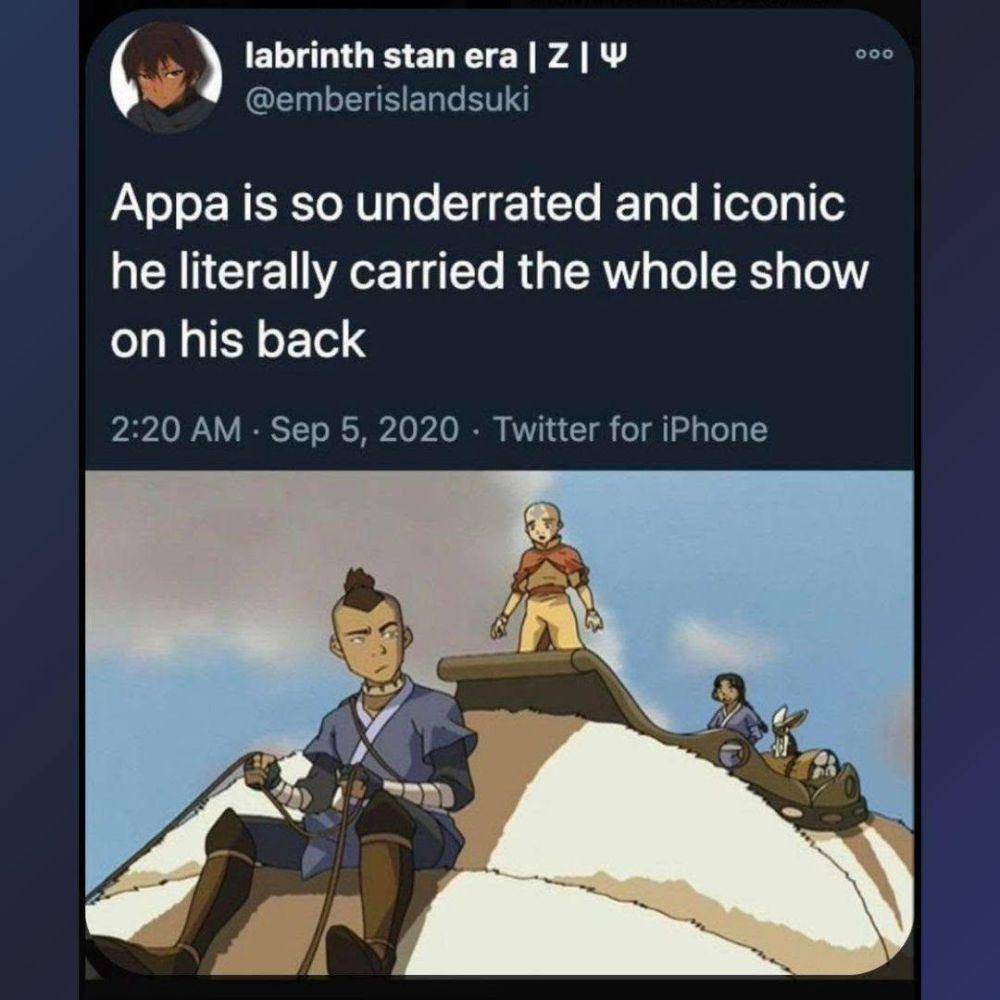 meme Appa Avatar: The Last Airbender (reddit.com/user/Daisy-Dreamy22)