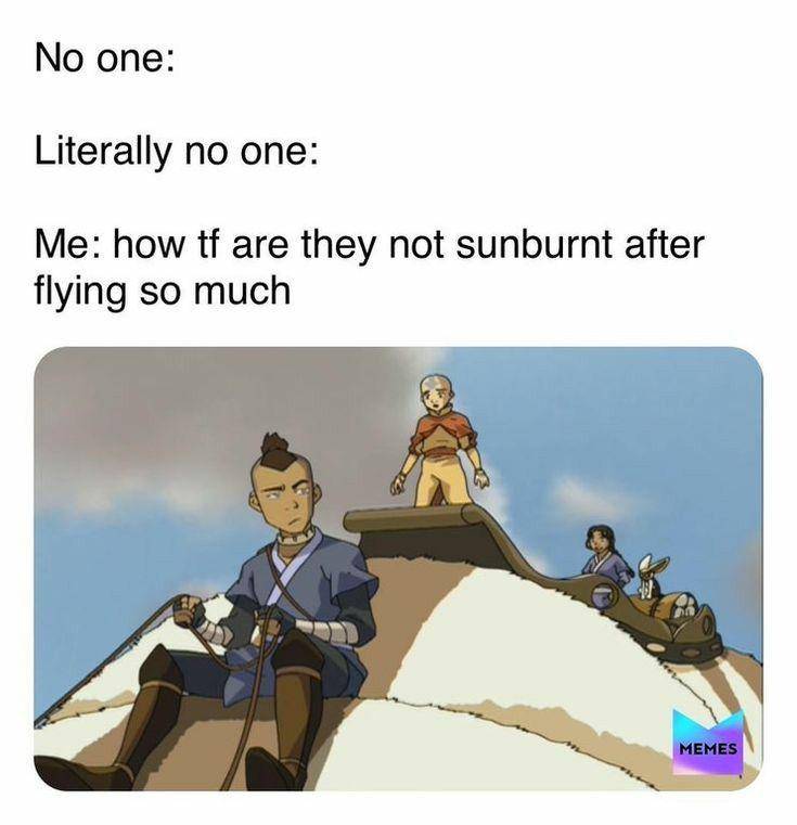 meme Appa Avatar: The Last Airbender (reddit.com/user/ShigarakisLotion)