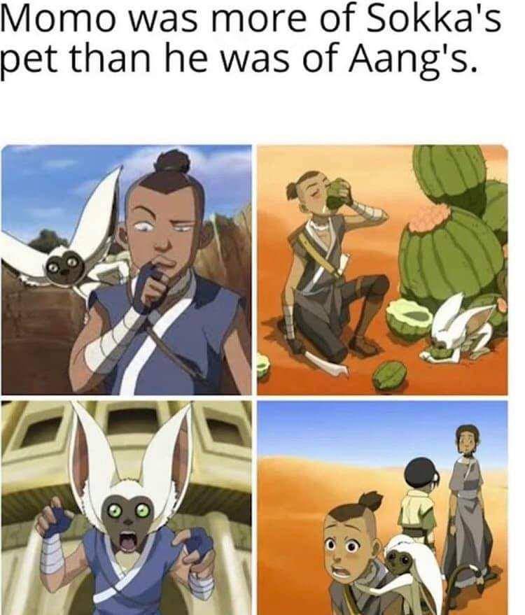 meme Momo Avatar: The Last Airbender (reddit.com/user/caganga35)