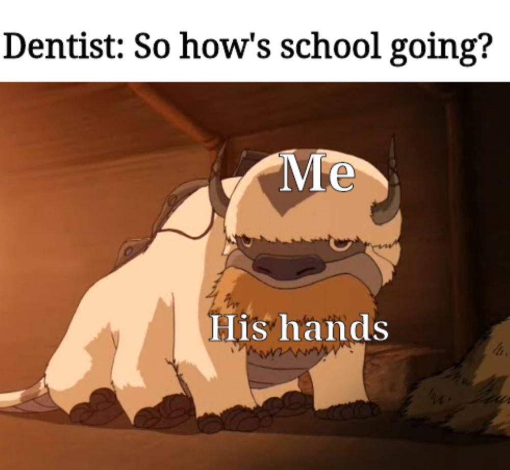 meme Appa Avatar: The Last Airbender (reddit.com/user/WinglessBone69)