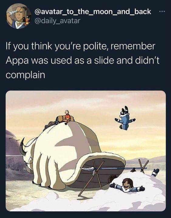 meme Appa Avatar: The Last Airbender (reddit.com/user/SnooHabits9543)