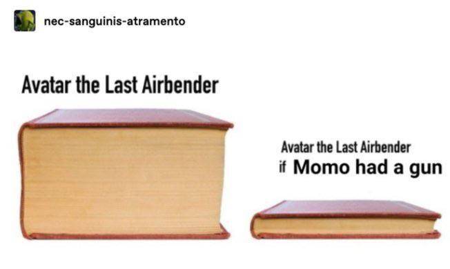 meme Momo Avatar: The Last Airbender (reddit.com/user/CristinaMacri)