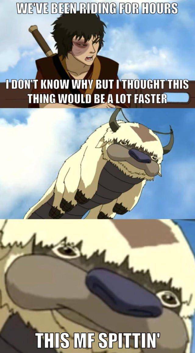 meme Appa Avatar: The Last Airbender (reddit.com/user/Panderson0727)