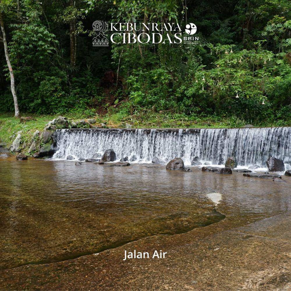 Potret Kebun Raya Cibodas (instagram.com/kebunraya.cibodas)