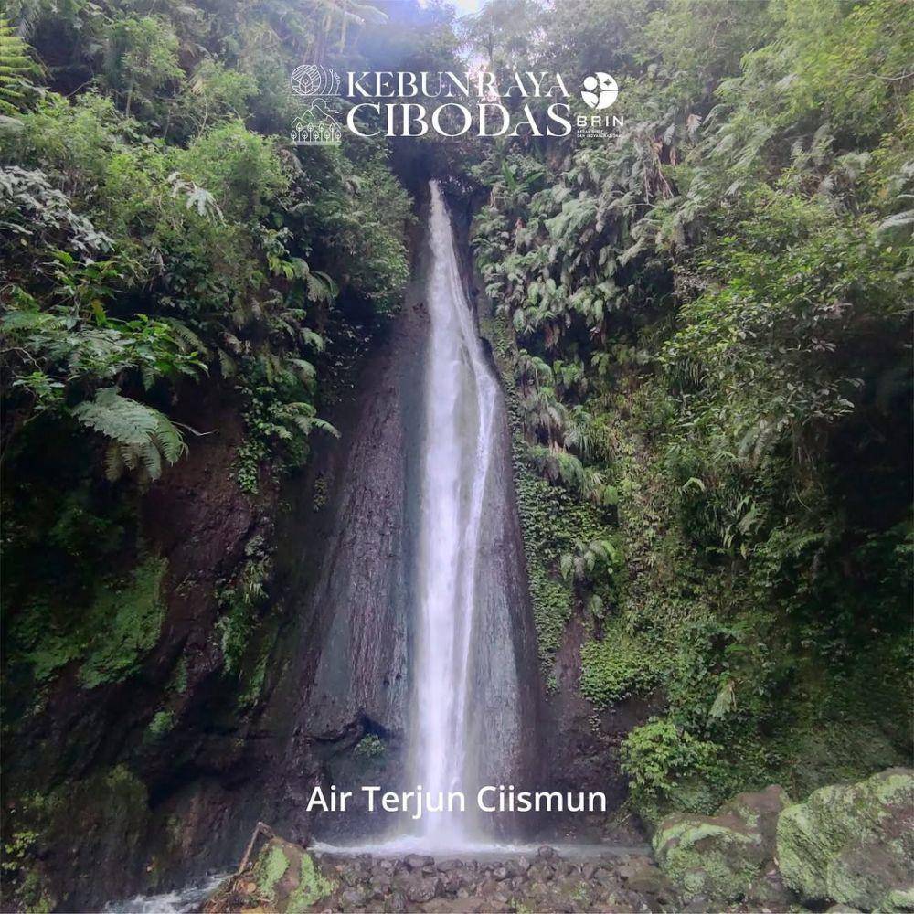 Potret Kebun Raya Cibodas (instagram.com/kebunraya.cibodas)