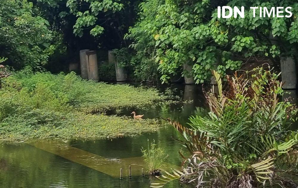 Potret Pasar Cinde Palembang, Kini Jadi Danau Tempat Bebek Berenang