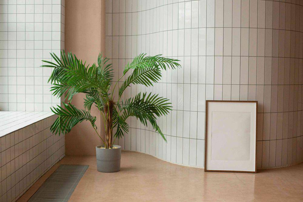 Ilustrasi tanaman areca palm (pexels.com/Monstera Production)