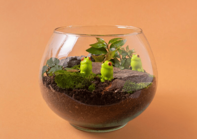 ilustrasi terrarium (freepik.com/freepik)