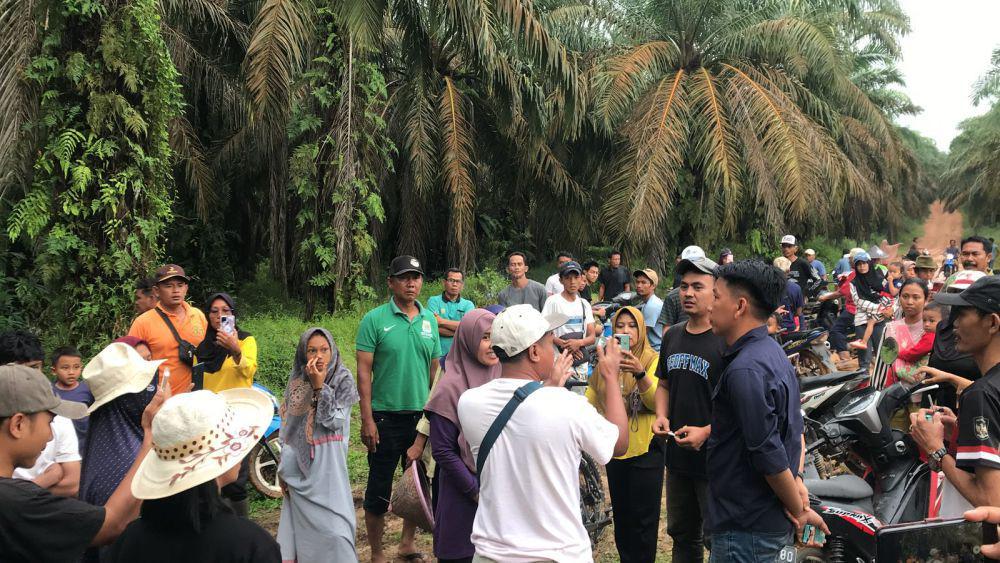 Sengketa Lahan di Tungkal Jaya, Warga Dilarang Panen di Kebun Sendiri