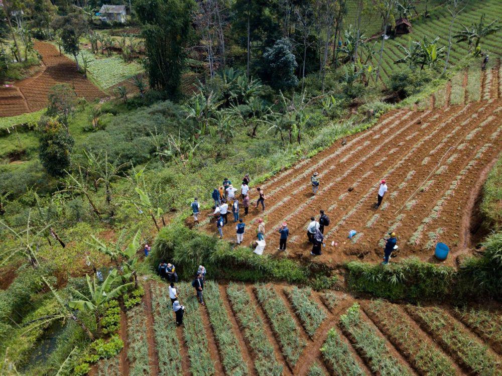Kawasan Bandung Utara Kritis, Upaya Penghijauan Terus Dilakukan