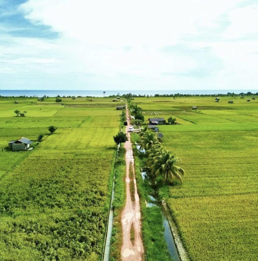Menikmati Hamparan Sawah Rias Bangka Selatan, Wisata Unik buat Healing