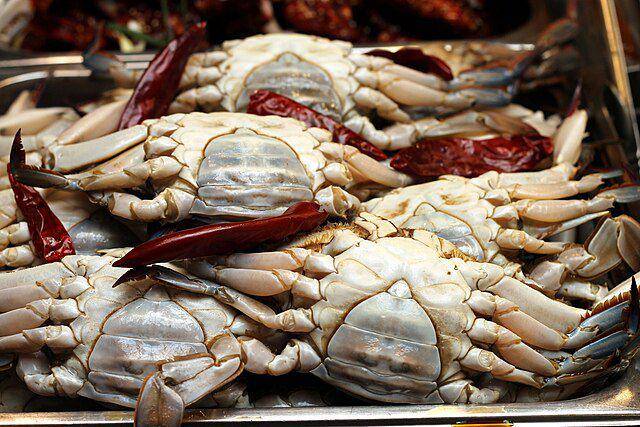 ilustrasi marinasi kepiting (commons.wikimedia.org/ donchili)