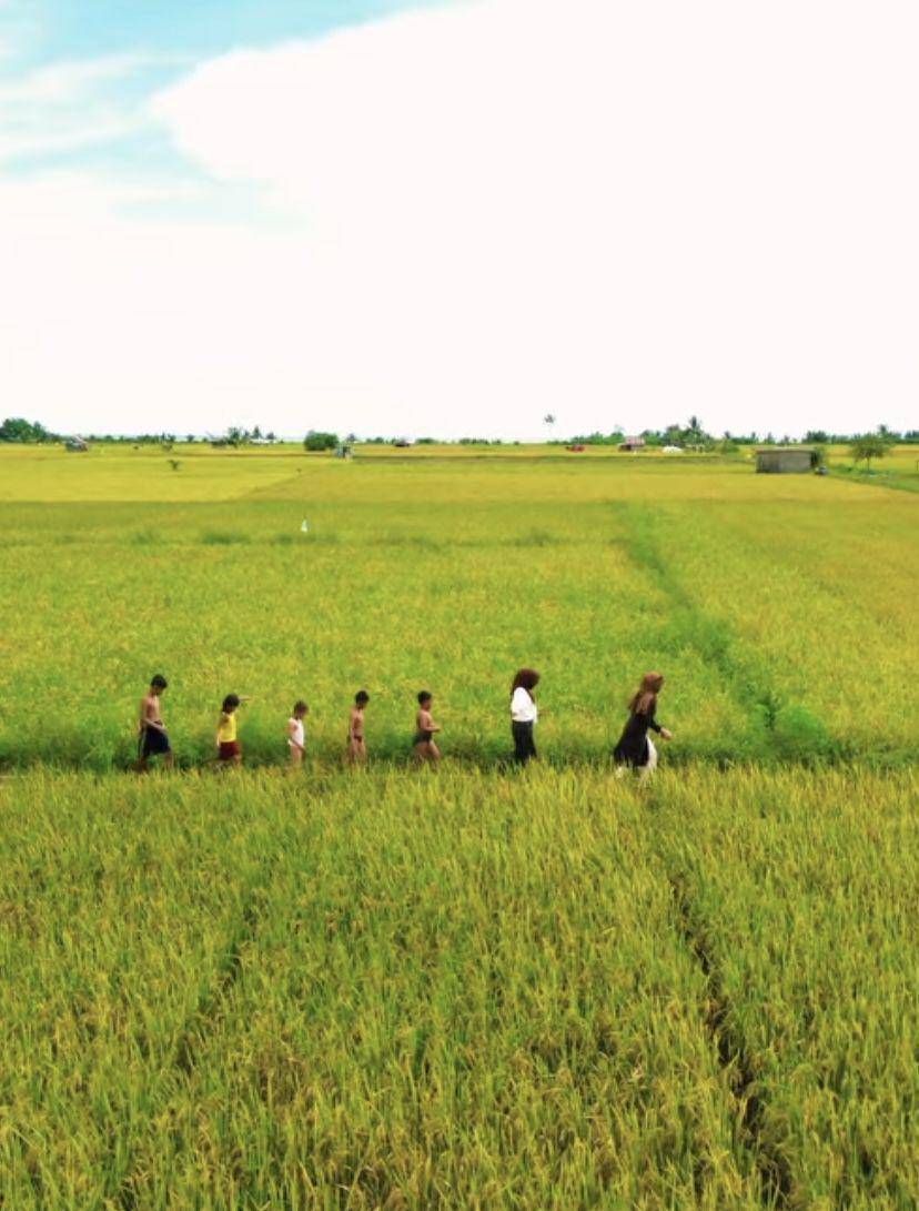 Sawah Rias di Bangka Selatan (instagram.com/@orang_kiriy)