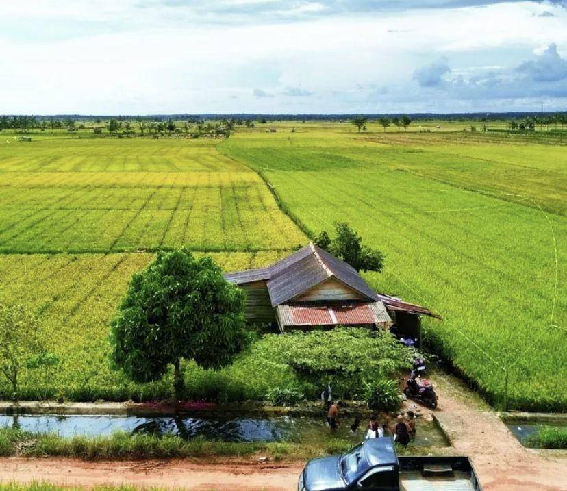 Potret Persawahan (instagram.com/@orang_kiriy)