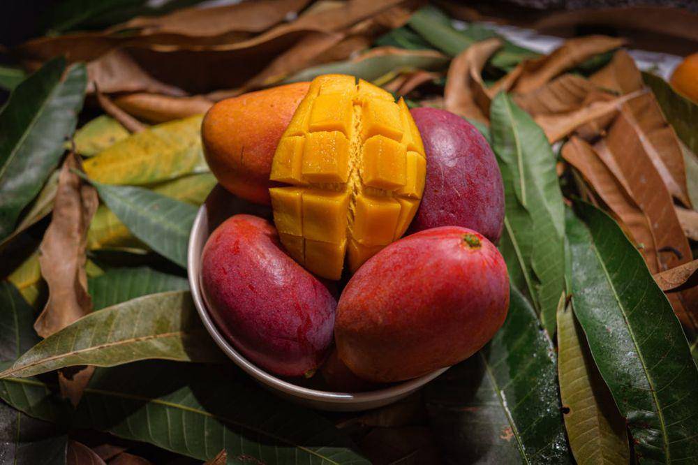 ilustrasi buah mangga (pexels.com/Will Carranza)