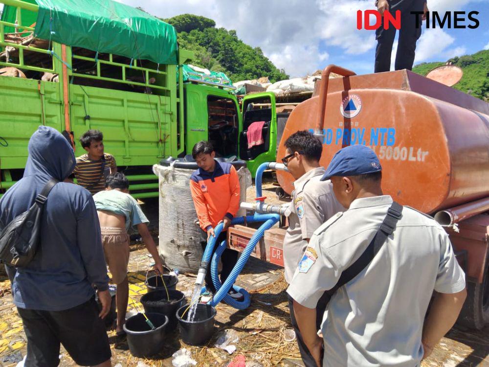 Gubernur NTB Minta Bantuan Bali Mengurai Antrean Truk Pengangkut Sapi