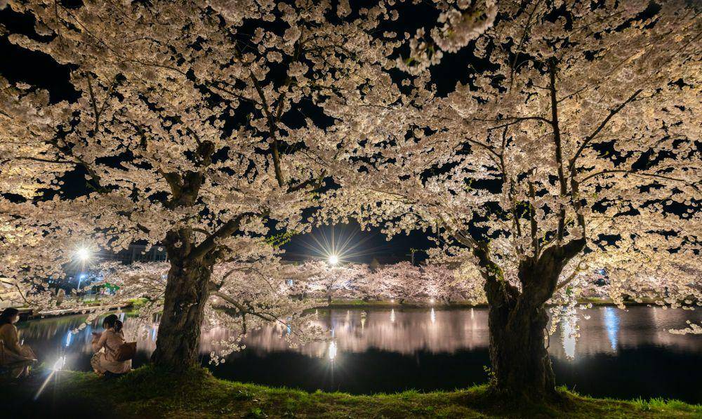 Hirosaki Park (unsplash.com/Jun Ohashi)