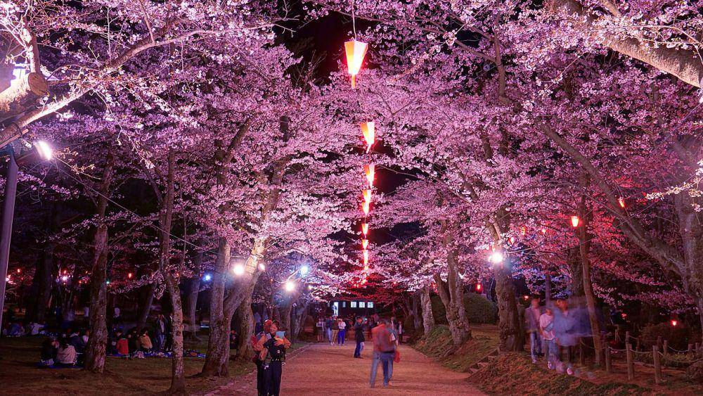 Senshu Park (commons.wikimedia.org/掬茶)
