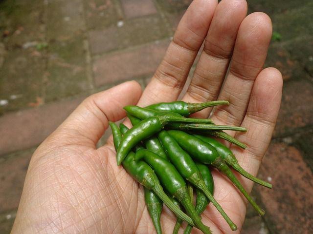 Harga Cabai di Cirebon Terjun Bebas! Ibu-Ibu Bahagia, Pedagang Ngeluh