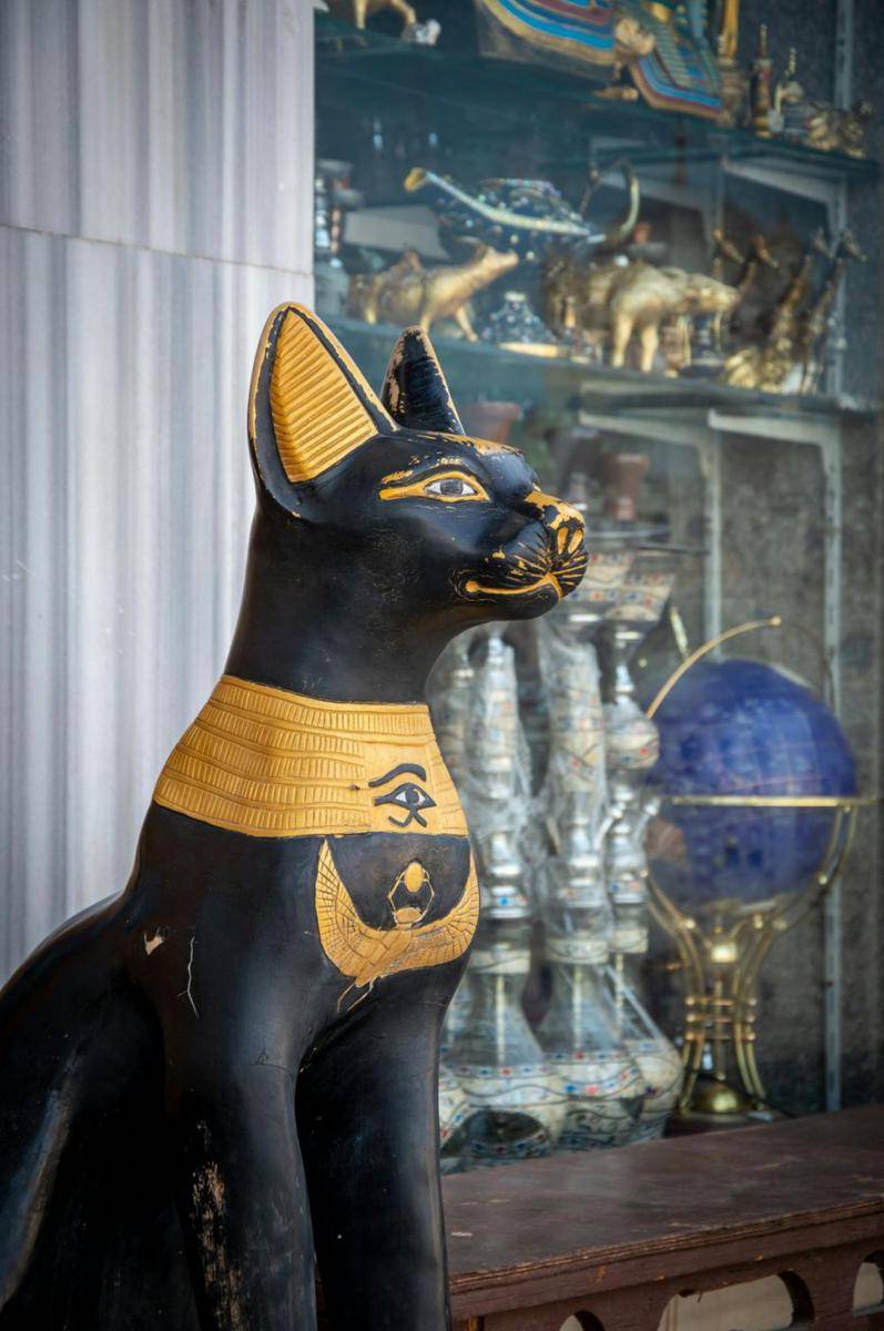 ilustrasi kucing peradaban Mesir Kuno (pexels.com/Vika Glitter)