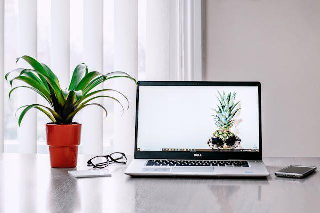 6 Tips Memilih Laptop untuk Desain Grafis, Cek Spesifikasinya