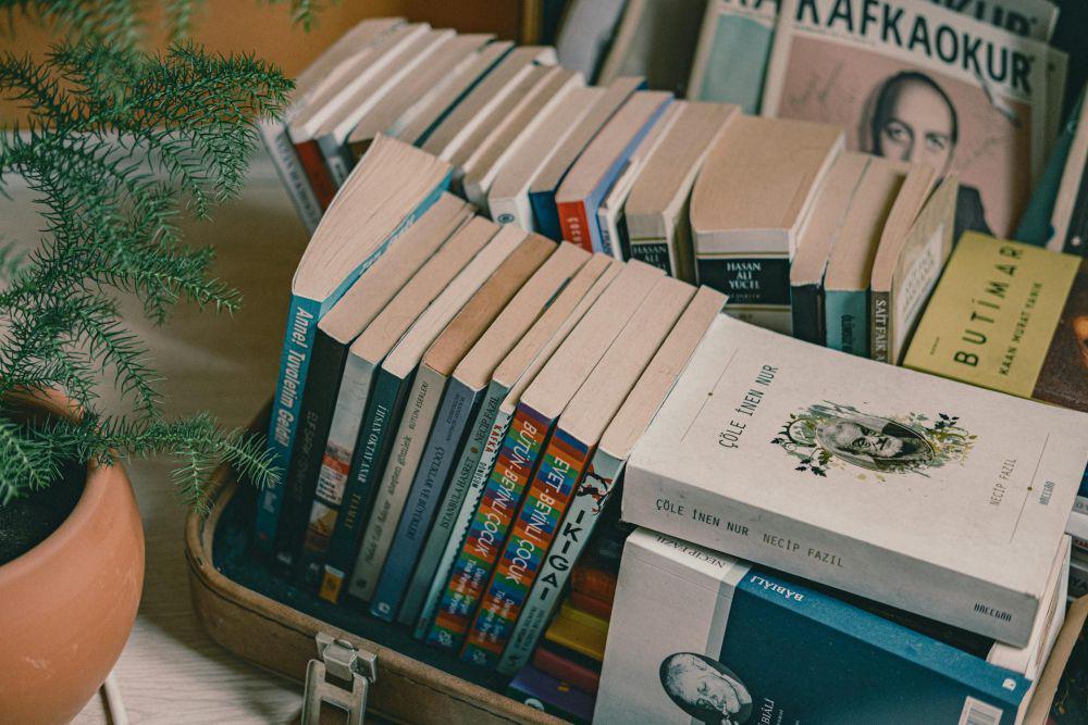 ilustrasi buku di dalam koper (pexels.com/Yusuf Timur Çelik)