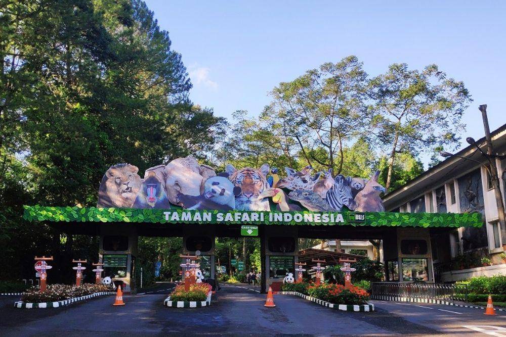 Taman Safari Cisarua Bogor, Jawa Barat. Taman Safari (harianjogja.com/Mutiara Windalita)
