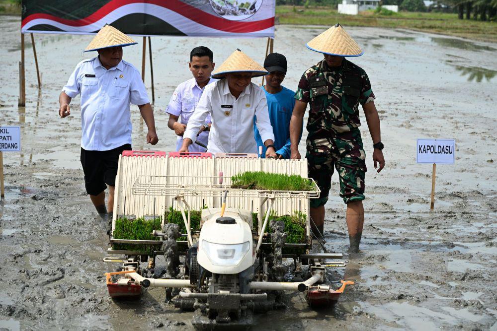 Sumut Genjot Swasembada Pangan, Tanam Serentak di 1.897 Hektare Lahan