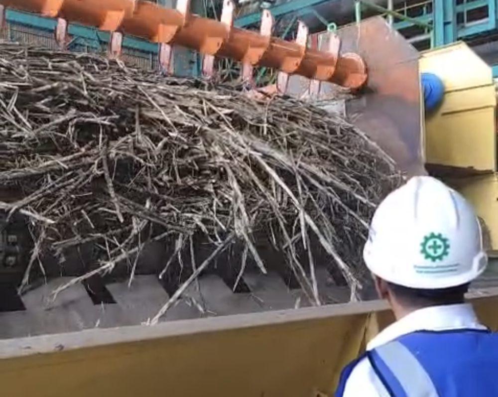 Kepala Bapanas Sedih Produksi Gula Belum Sentuh 200 Ton Per Hektare