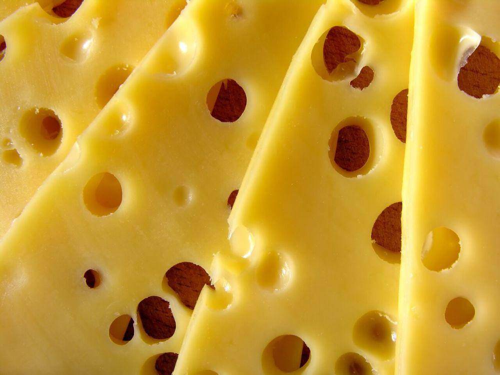 ilustrasi Swiss cheese (pixabay.com/lipefontes0)