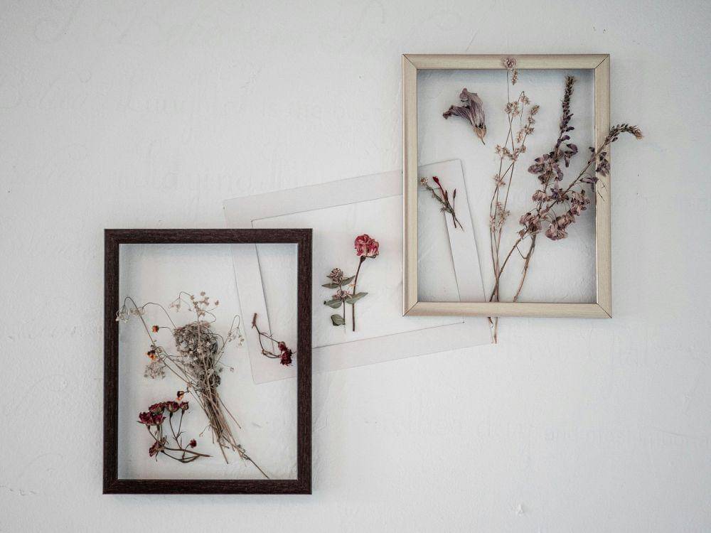 ilustrasi hiasan dinding (unsplash.com/Pedro Forester Da Silva)