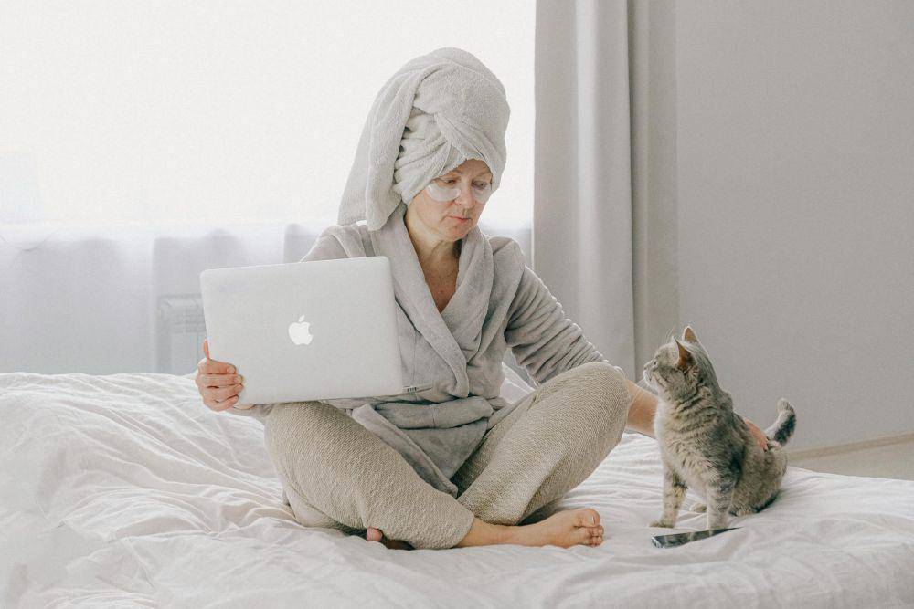 ilustrasi kucing dan laptop (pexels.com/ Anna Shvets)