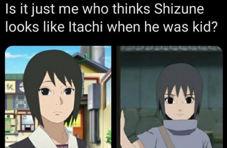 8 Meme Shizune dalam Seri Naruto, Murid Kebanggaan Tsunade