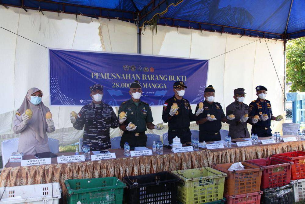 Mangga ilegal asal Thailand sebanyak 1.400 keranjang senilai Rp521.074.400 diamankan. (Dok. Bea Cukai)