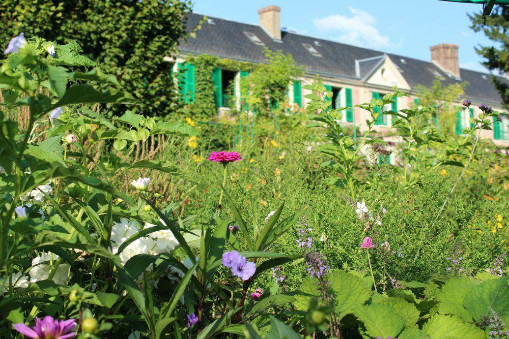 Giverny (unsplash.com/Mili K.)