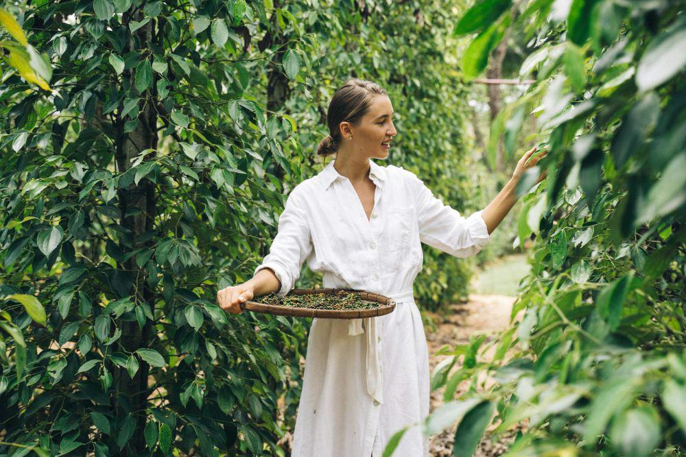 5 Kebiasaan Berkebun yang Malah Mendatangkan Hama dan Penyakit