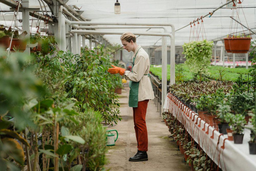 8 Ide Self-Reward untuk Hobi Berkebun, Tambah Semangat dan Kreatif