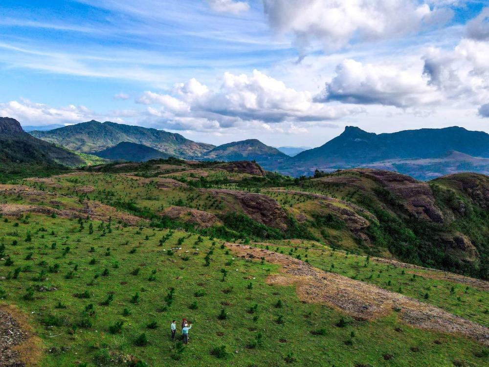 Upaya Reklamasi Pascatambang oleh PT Vale Indonesia