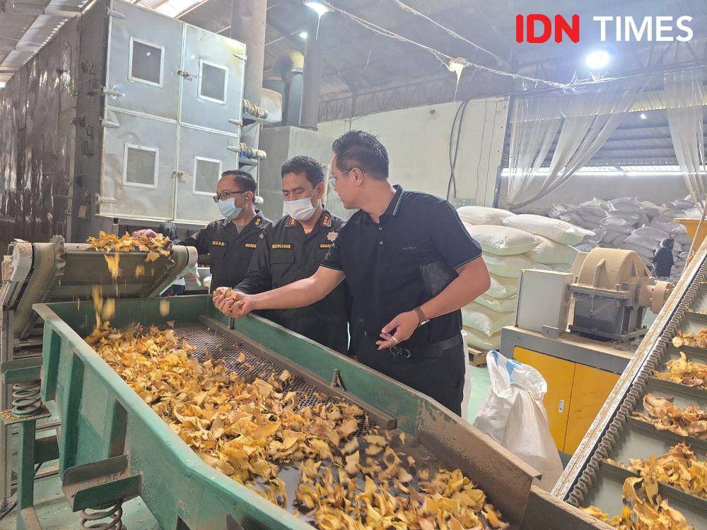Eksportir memilah serpihan porang di dalam pabrik wilayah Pemalang. (IDN Times/Fariz Fardianto)