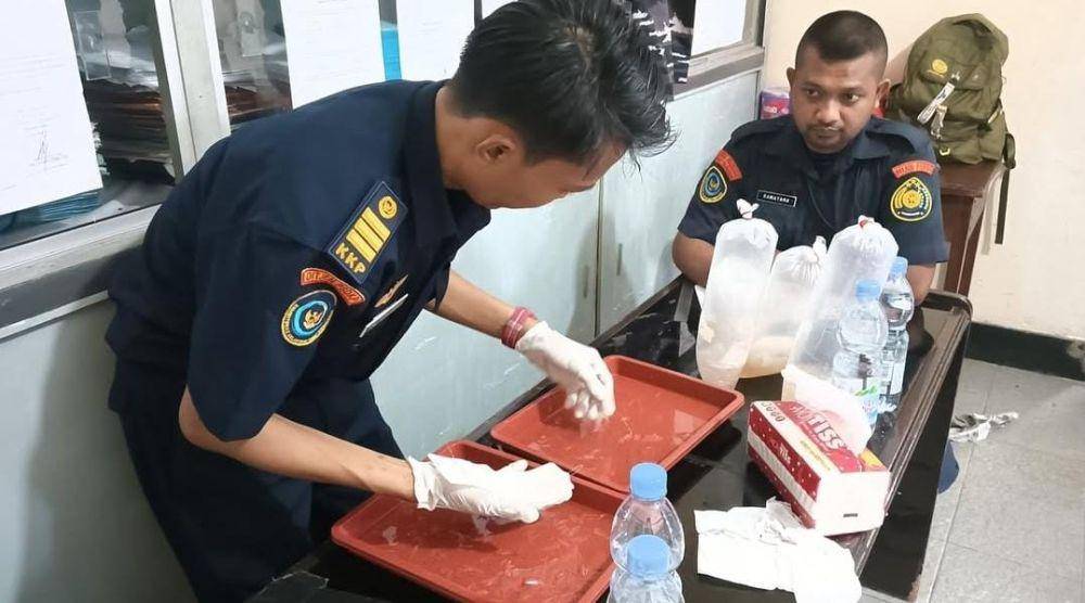 Konfrensi pers penangkapan tiga pelaku penyelundupan benih lobster ke luar negeri (Dok: Lanal Palembang)