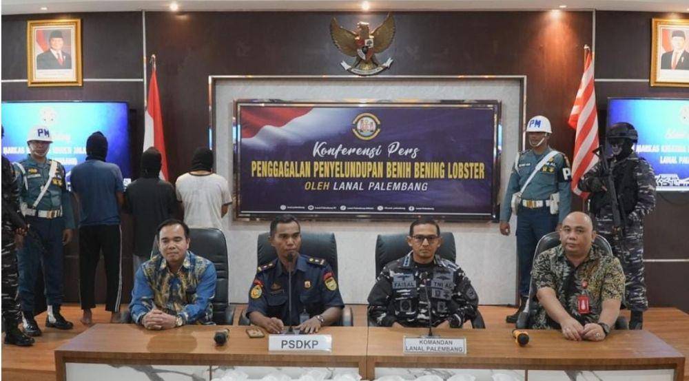 Konfrensi pers penangkapan tiga pelaku penyelundupan benih lobster ke luar negeri (Dok: Lanal Palembang)